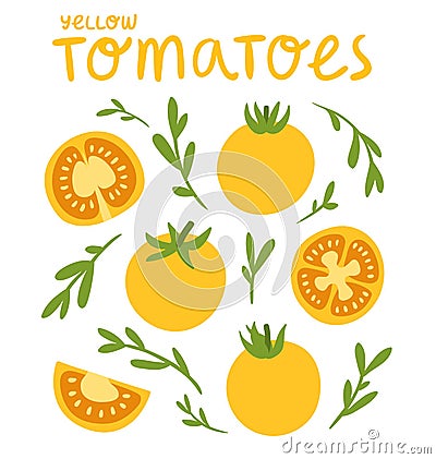 Yellow tomatoes Vector Illustration