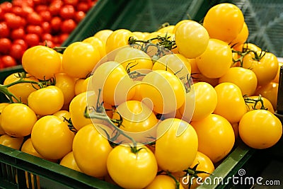 Yellow tomatoes Stock Photo