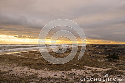 Yellow Toned Beach landscape before sunset Stock Photo