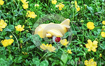 Yellow toy airplane in grass Stock Photo