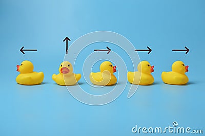 Yellow toy ducks with different arrows. The concept of unique person heading in a different direction Stock Photo