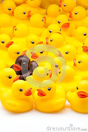 Yellow toy ducks Stock Photo