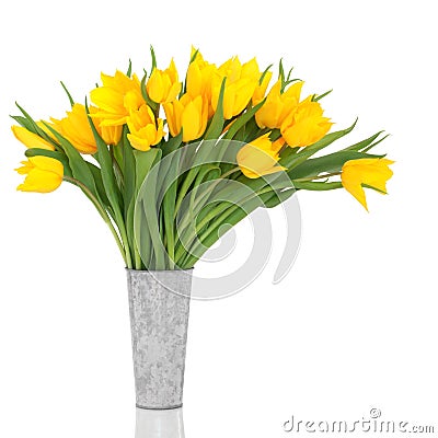 Yellow Tulip Flowers Stock Photo