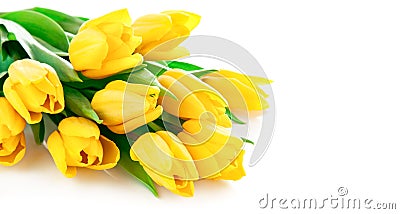 Yellow tulip flowers bouquet Stock Photo