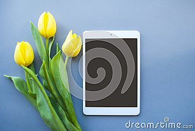 Yellow tulip on pastel background Stock Photo