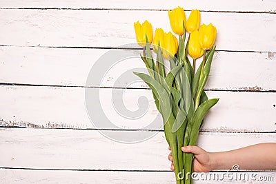 Yellow tulips bunch on white wooden planks rustic barn rural table background. Empty space for lettering, text, letters, Stock Photo