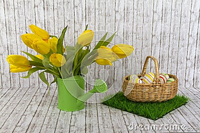 Yellow tulips in green watering can Stock Photo