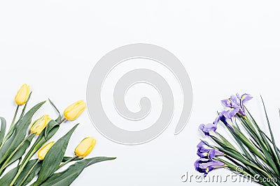 Yellow tulips and purple irises on a white background, top view Stock Photo