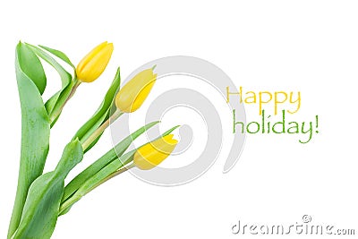 Yellow tulips with water droplets on a white background Stock Photo