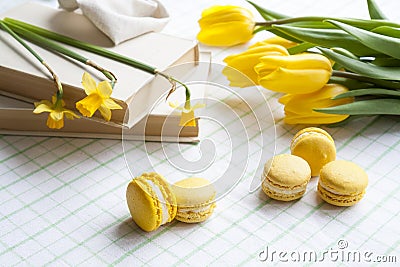 Yellow tulips, yellow daffodils, old books and lemon macaroons on a light background Stock Photo