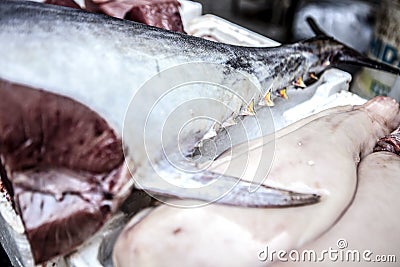 Yellow tuna fins section sold in a fishmarket, Catania Stock Photo