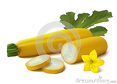 Yellow vegetable marrow zucchini on white background Vector Illustration