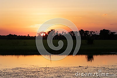 Yellow water pond at sunset time Ngurrungurrudjba. Sun behind trees. Habitat for birds and crocodiles. Boat tours organized by Stock Photo