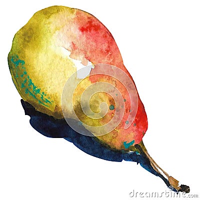 Yellow Watercolor Pear. Fruit on white background Cartoon Illustration