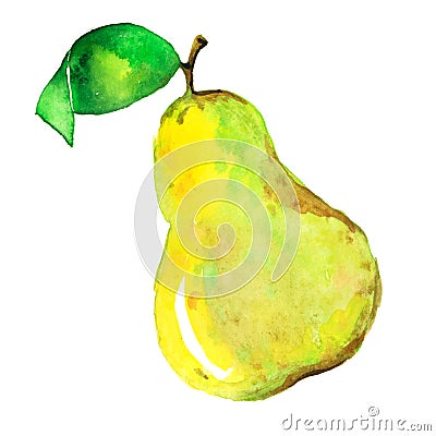 Yellow watercolor pear on a white background Vector Illustration