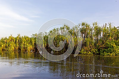 Yellow waters billabong, Northern Australia Stock Photo