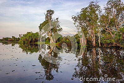 Yellow waters billabong, Northern Australia Stock Photo