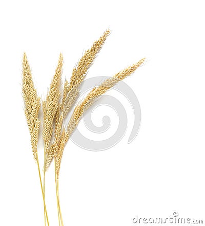 Yellow wheat on wooden background top view, Dried stems meadow Stock Photo