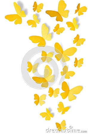 Yellow butterflies on white background Stock Photo