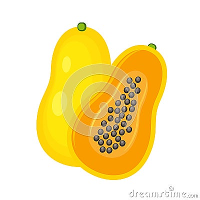 Yellow whole and half papaya vector illustration isolated on white background. Vector Illustration