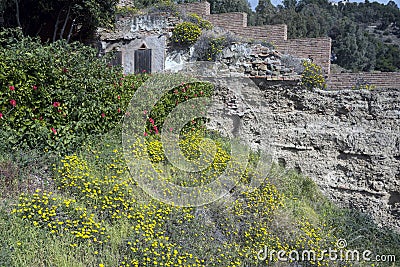 Yellow wildflowers and shrubs against the backdrop of ruins. The ancient stone walls of the Arab fortress of Gibralfaro. Landmark Stock Photo