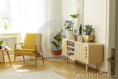 Yellow wooden armchair next to cabinet with plant in bright living room interior. Real photo Stock Photo
