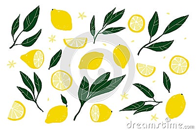 Yellow yemon set. Cartoon citrus tropical collection Vector Illustration