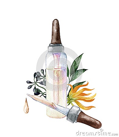 Yellow ylang ylang flower and essential oil drop and glass bottle Cartoon Illustration