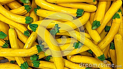 Yellow zucchini in bulk Stock Photo