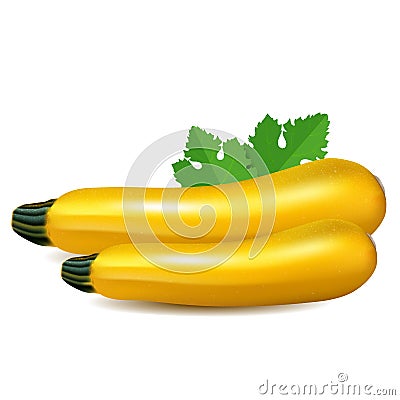 Yellow zucchini with leaf. Isolated on white background. Realistic vector illustration. Vector Illustration