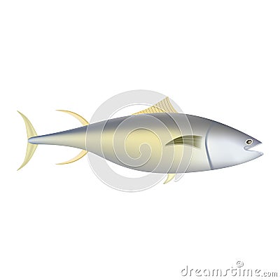 Yellowfin tuna fish mockup, realistic style Vector Illustration