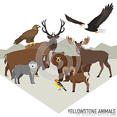 Yellowstone National Park animals. Vector Illustration