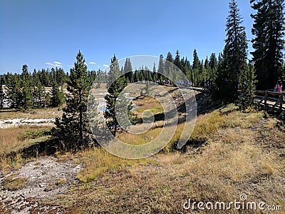 Yellowstone National Park crowds on walkway looking at grazing deer Stock Photo