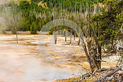 Yellowstone National Park Geothermal Area Stock Photo