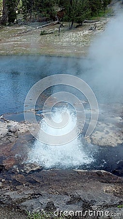 Yellowstone National Park geyser erupt Stock Photo