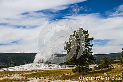 Yellowstone Old Faithful Stock Photo