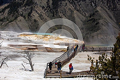 Yellowstone, Wyoming, USA, May 24, 2021: Tourist on the boardwalk at Mammoth Hot Springs Editorial Stock Photo