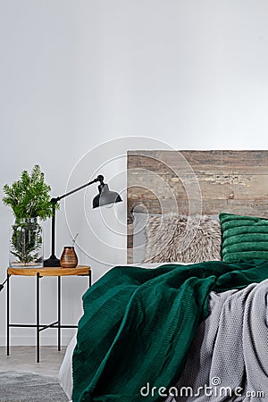 Yerba matte, spruce in glass vase on wooden nightstand next to bed Stock Photo