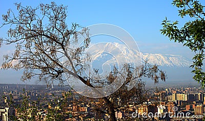 Yerevan city and Mount Ararat Stock Photo