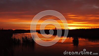 Sunrise in the wetlands. Stock Photo