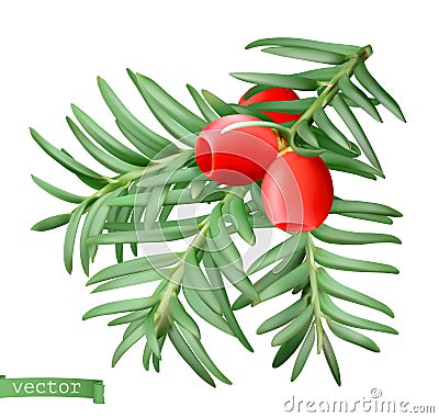 Yew branch, christmas decoration. Taxus tree 3d realistic vector icon Vector Illustration