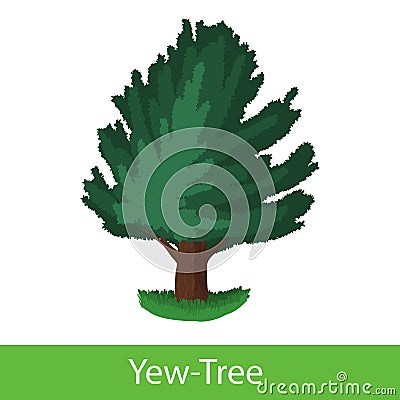 Yew-Tree cartoon icon Vector Illustration