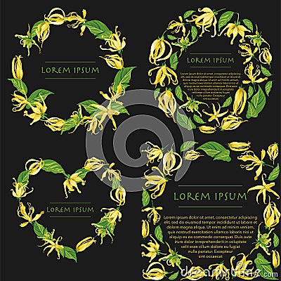 Vector wreath set with ylang ylang flowers. Set of floral illustrations with wild tropical yellow flowers on black background Vector Illustration