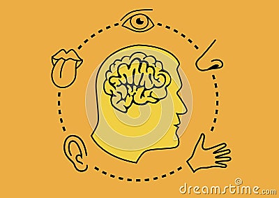 ymbol of the five senses with the brain connected to the perceptions. Stock Photo