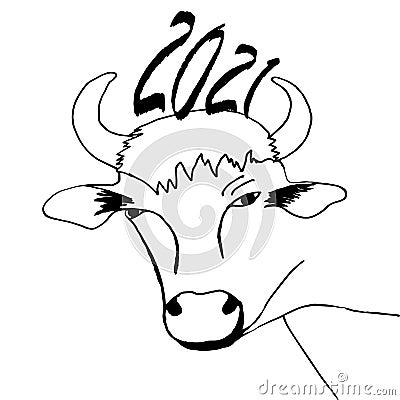 Ymbol of the year bull with numbers of the year and with a spruce twig in his mouthsymbol of the year bull with numbers of the yea Vector Illustration