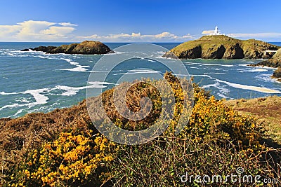Ynys Onnen and Strumble Head Lighthouse Stock Photo