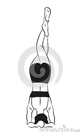 Yoga asana Sirsasana, Shirshasana. Headstand with Vector Illustration