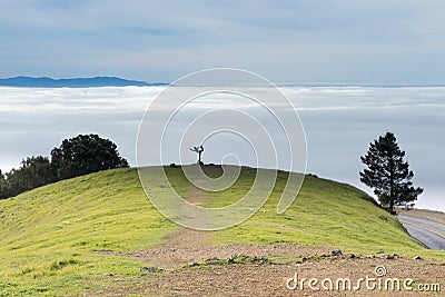 Yoga in Nature Stock Photo