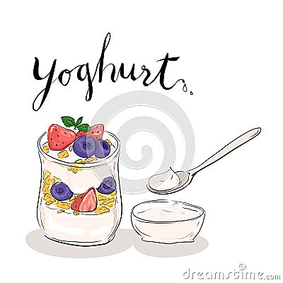 Yogurt with cornflakes and berries. Vector Illustration