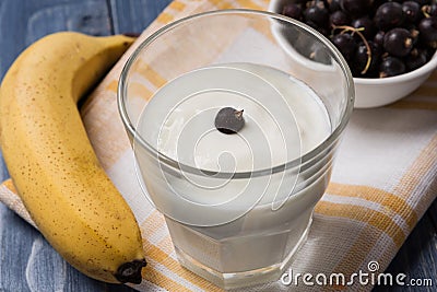 Yogurt in a glass, banana and currant on wooden boards Stock Photo